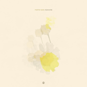 what's on the inside