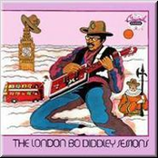 Sneakers On A Rooster by Bo Diddley