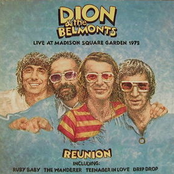 Drip Drop by Dion & The Belmonts