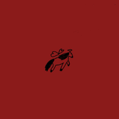 Summer of the Cow