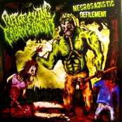 Necrosadistic Defilement Album Picture