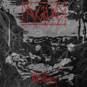 Cult Of Mass Extinction