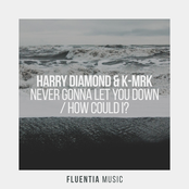 Never Gonna Let You Down + How Could I?