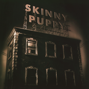 Cellar Heat by Skinny Puppy