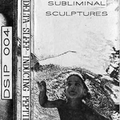 Subliminal Sculptures