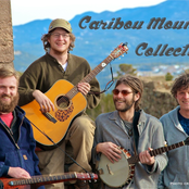 caribou mountain collective