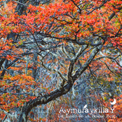La Ilusión de un Bosque Rojo