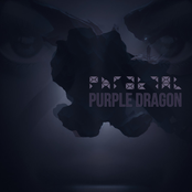 Purple Dragon