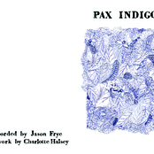 pax indigo