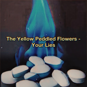 Your Lies