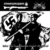 Enter The Hyperborean Forest Of Hatred