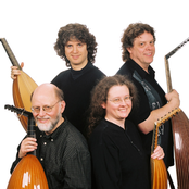 Venere Lute Quartet