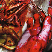 Mumakil-Inhume-Slimewave Series Vol 6 (Split)