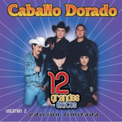 caballo dorado