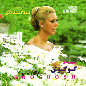 Googoosh: Nimeh Gomshodeh Man
