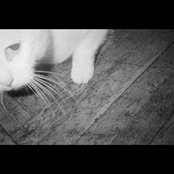 Echoes From The Town Below