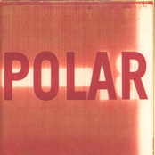 Bipolar Dream by Polar