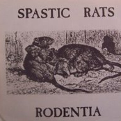 spastic rats