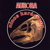 Nem Hagyom Magam by Auróra