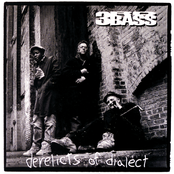 3rd Bass: Derelicts Of Dialect