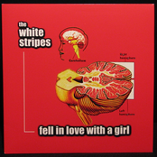 Fell in Love With a Girl