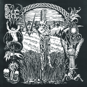 TS66 - A Garden Without Birds 7"