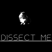 Dissect Me