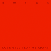 Love Will Tear Us Apart by Swans