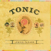 If You Could Only See by Tonic