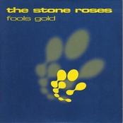 Fools Gold