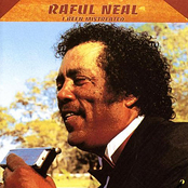Spill It On Me by Raful Neal