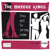 Mother In Law Blues by The Breeze Kings