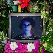 I'm Not Happier, I Just Bought a Guitar