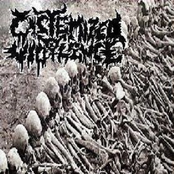 Split Tape w/ Cistemized Violence