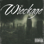 The Wreckage: Don't Fall In Love (explicit) - Single