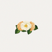 Allie Paige: Always Faithful