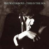 Waterboys: This Is The Sea