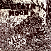 Stuck In Carolina by Delta Moon