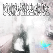 Surveillance