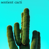 sentient cacti