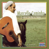 Clássicos Gaúchos ao Violão, Vol. 2 (Instrumental)