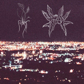 summerset streetlights