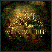 Willow Tree