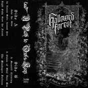 A Path to Owl's Keep