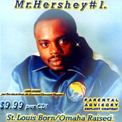 mr.hershey #1