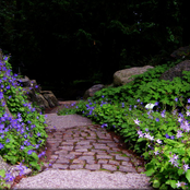 Instrumental Landscapes