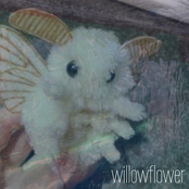 willowflower