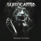 Complexo de Dom Quixote