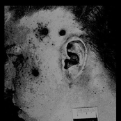 Scatmother / Wonderland Club