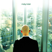 Love Should by Moby